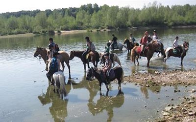 Horse riding loire valley